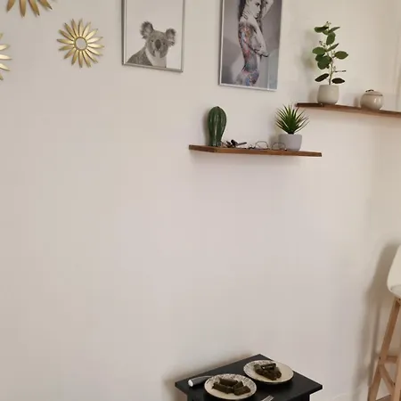 Apartment Le Marais,center ,5 Minute Eiffel Tour And Louvre Meusm ,1 Mins Metro