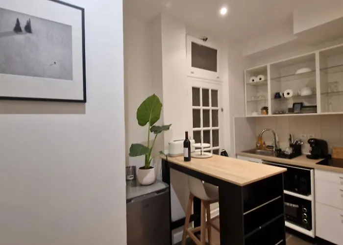 Apartment Le Marais,center ,5 Minute Eiffel Tour And Louvre Meusm ,1 Mins Metro *